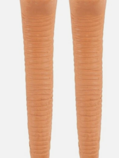 Willy the Water Sensor Worm Large